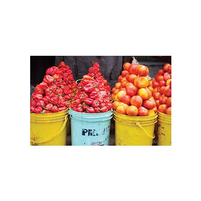 Osun govt supports tomato, pepper farmers with 2.2m naira grant